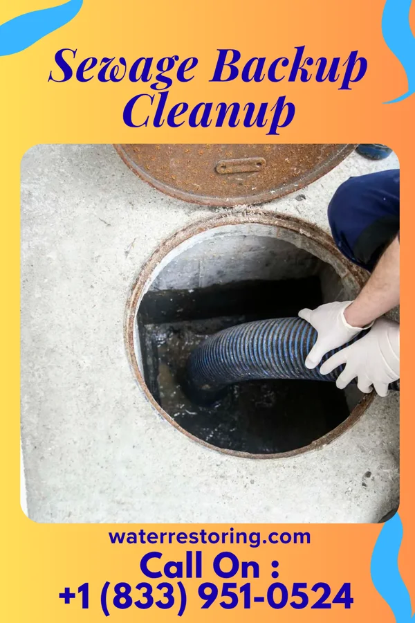 Sewage Backup Cleanup in Staves, AR